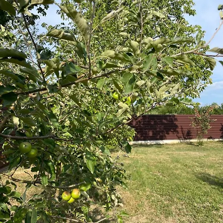 Agropensiunea Anotimpuri Albestii Paminteni Exterior foto