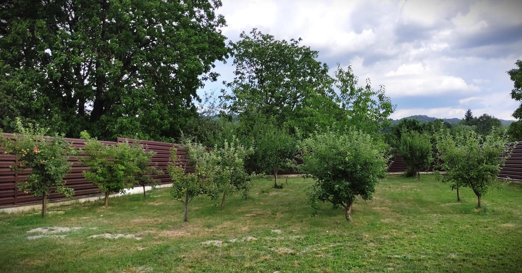 Agropensiunea Anotimpuri Albestii Paminteni