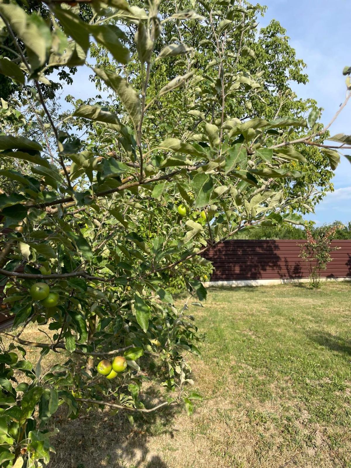 Ferienhaus Agropensiunea Anotimpuri Albestii Paminteni